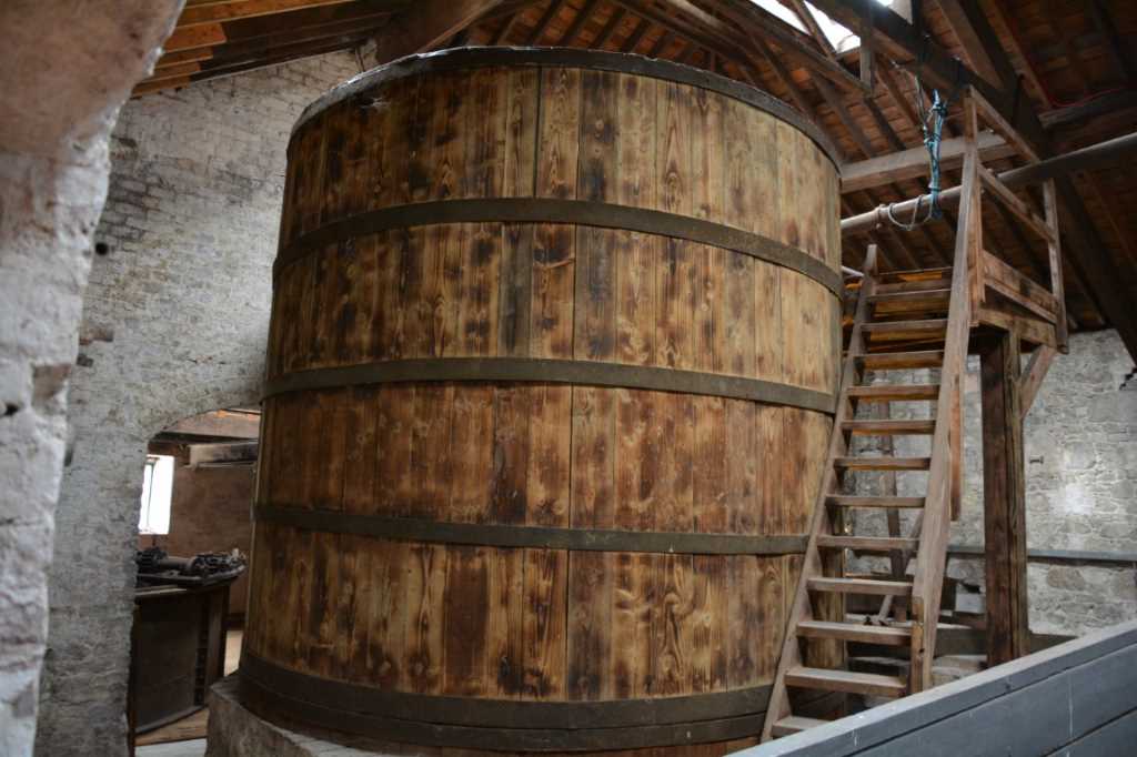 DSC_5855Mittel_.JPG